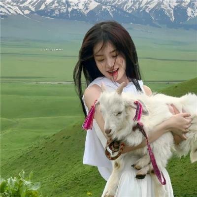鲱云在线观看